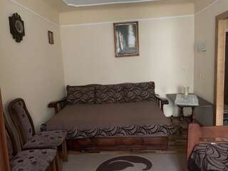Апартаменты ViriDi Apartment Моршин Апартаменты с 1 спальней-7